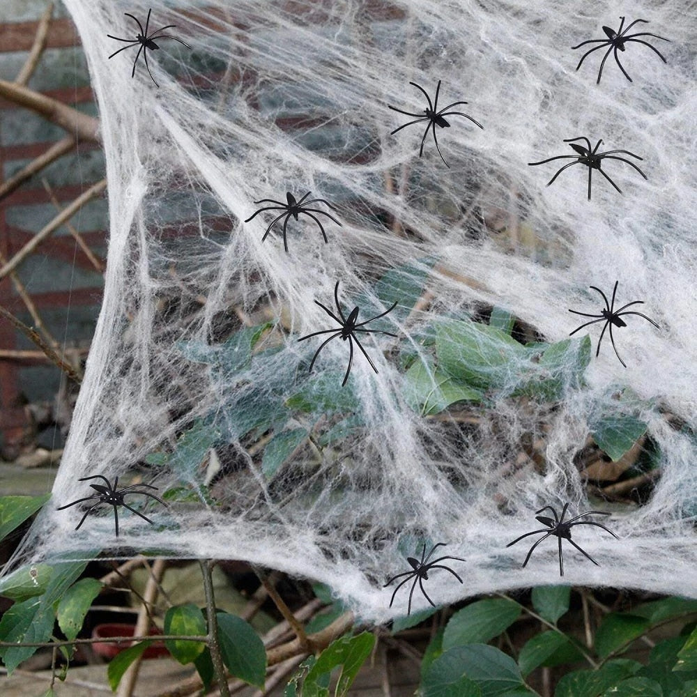 Spindelnät - Halloween